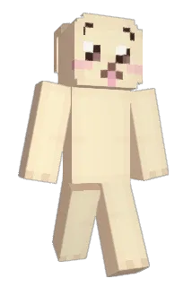 J_89 Minecraft avatar full body