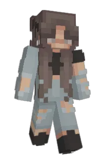J_C_2004 Minecraft avatar full body