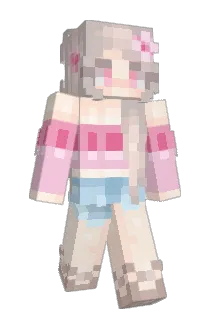 J_M66 Minecraft avatar full body
