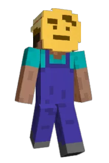 J_S2_5 Minecraft avatar full body