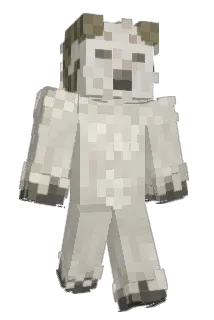 Jaaaaaakoooooob Minecraft avatar full body