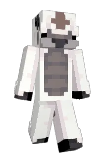 Jackjimbob123 Minecraft avatar full body