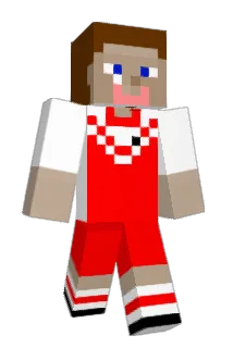 Jacksta_Bee Minecraft avatar full body