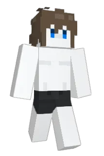 Jaemini8 Minecraft avatar full body