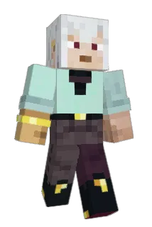 JakAce Minecraft avatar full body