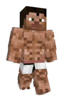 JakTwo Minecraft avatar full body