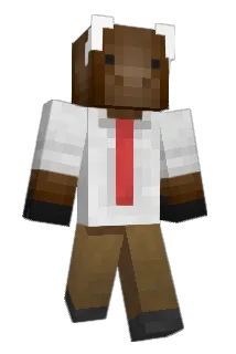 Jake_1231 Minecraft avatar full body