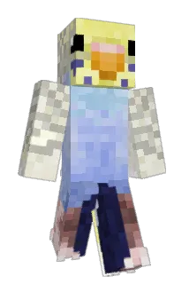 JamesW22 Minecraft avatar full body