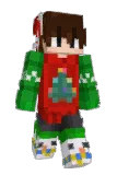 JanAktiv Minecraft avatar full body