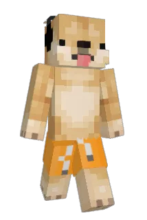 JaniBanani008 Minecraft avatar full body