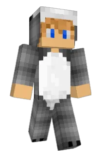 JaniG12 Minecraft avatar full body
