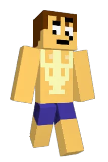 Janis_22_24 Minecraft avatar full body