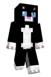 Jansssi Minecraft avatar full body