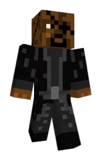 JanyFun Minecraft avatar full body