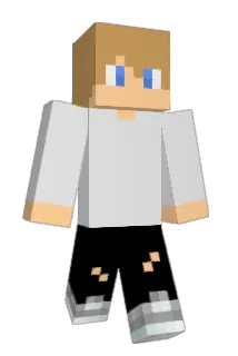 Jardebrink Minecraft avatar full body