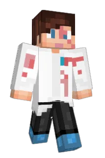 JariD3 Minecraft avatar full body