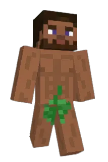 Jarrrooddd Minecraft avatar full body