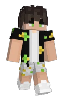 Jas17 Minecraft avatar full body