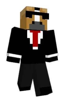 Jaunide Minecraft avatar full body