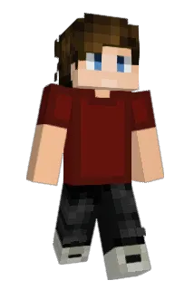 JaxTheWiseWizard Minecraft avatar full body