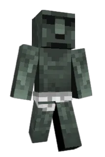 JaxsomH Minecraft avatar full body