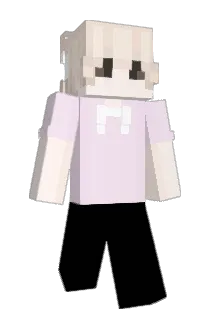 Jay3703 Minecraft avatar full body