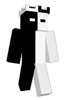 JaydenR723 Minecraft avatar full body