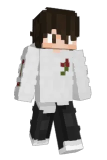 Jayskyee Minecraft avatar full body