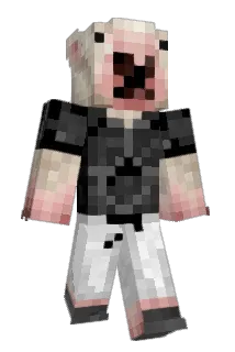 JeLe1 Minecraft avatar full body
