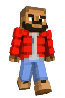JelIyFam Minecraft avatar full body