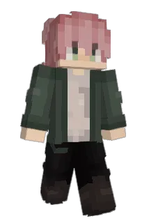 Jeljelly Minecraft avatar full body