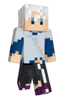 Jeltomy Minecraft avatar full body