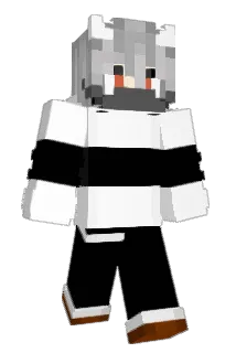 Jenbikeswim Minecraft avatar full body
