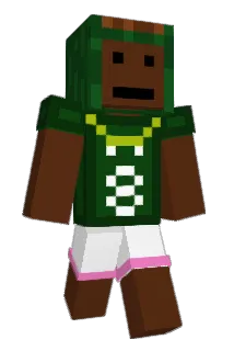 Jenshusfloen Minecraft avatar full body