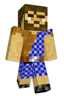 Jerbbins Minecraft avatar full body