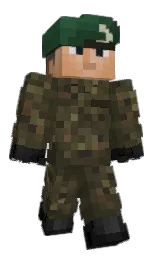 Custom render preview