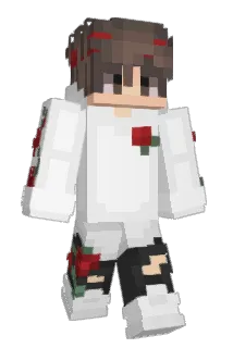 Jevid Minecraft avatar full body