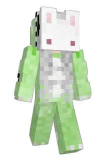 Jimslggf Minecraft avatar full body