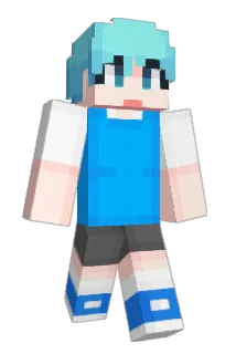 Jin00002 Minecraft avatar full body