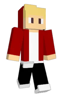 Jindall Minecraft avatar full body
