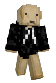 JingJing1220 Minecraft avatar full body