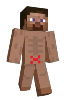 Jiornet Minecraft avatar full body