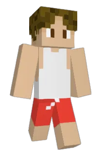 Jipp_o Minecraft avatar full body