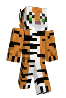 Jjustis Minecraft avatar full body