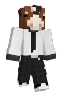 Joa0_44 Minecraft avatar full body