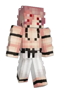Joakion Minecraft avatar full body