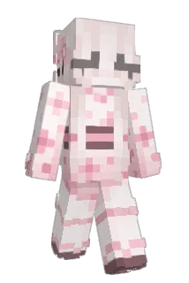 JoanXHung Minecraft avatar full body