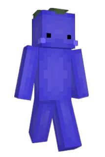 Joayh Minecraft avatar full body