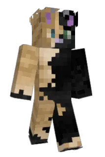 Joe_Kang Minecraft avatar full body
