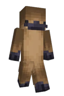 JoeyJKM Minecraft avatar full body